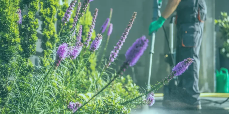 NDIS Spring Cleaning Services Caboolture